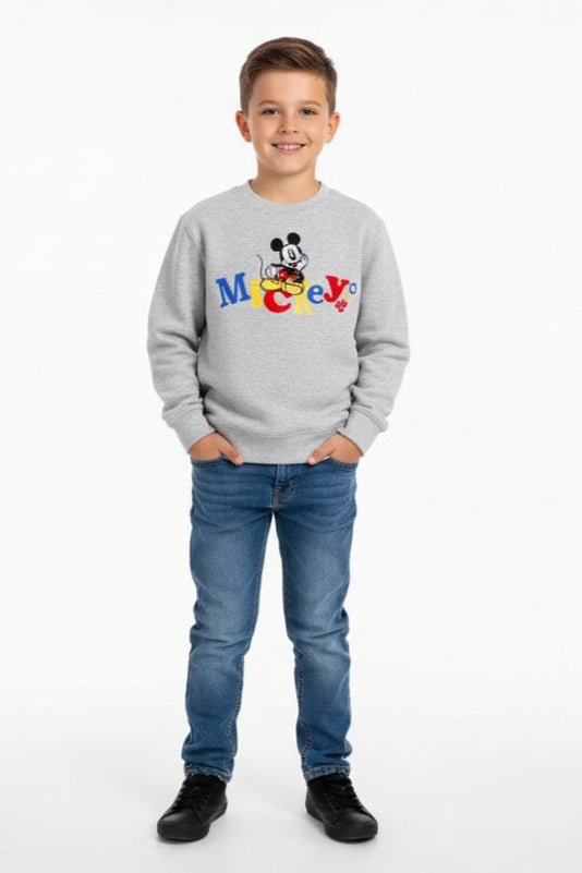 Child wearing a gray sweatshirt with a colorful logo on a white background