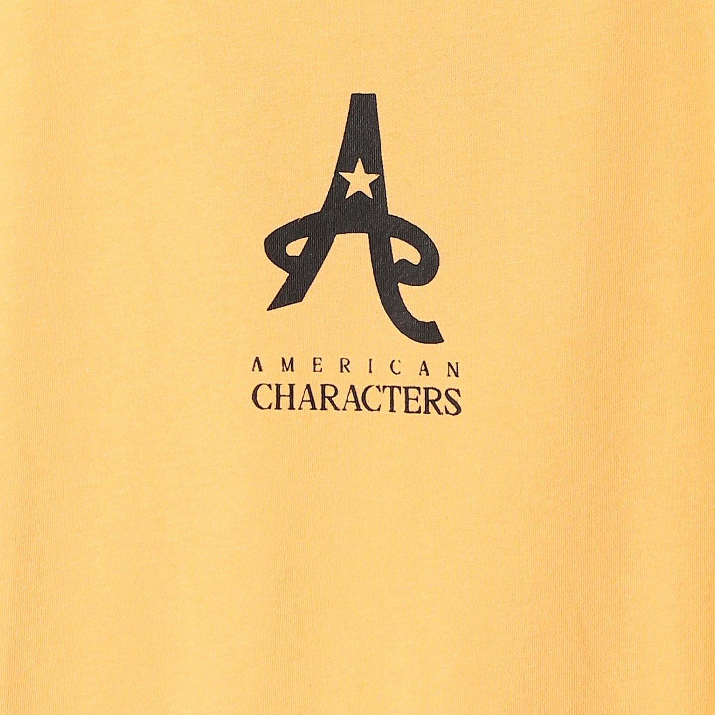 American Characters Women Crop Top