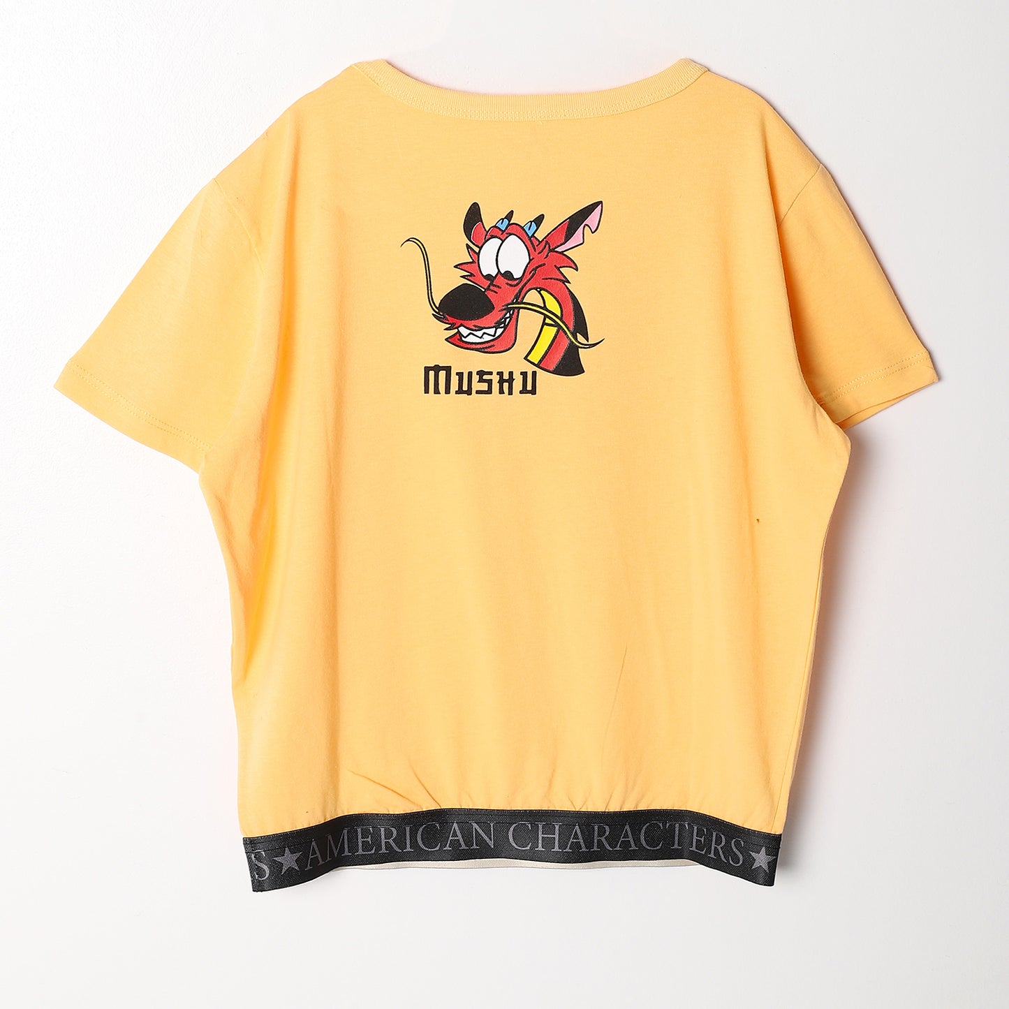 American Characters Women Crop Top