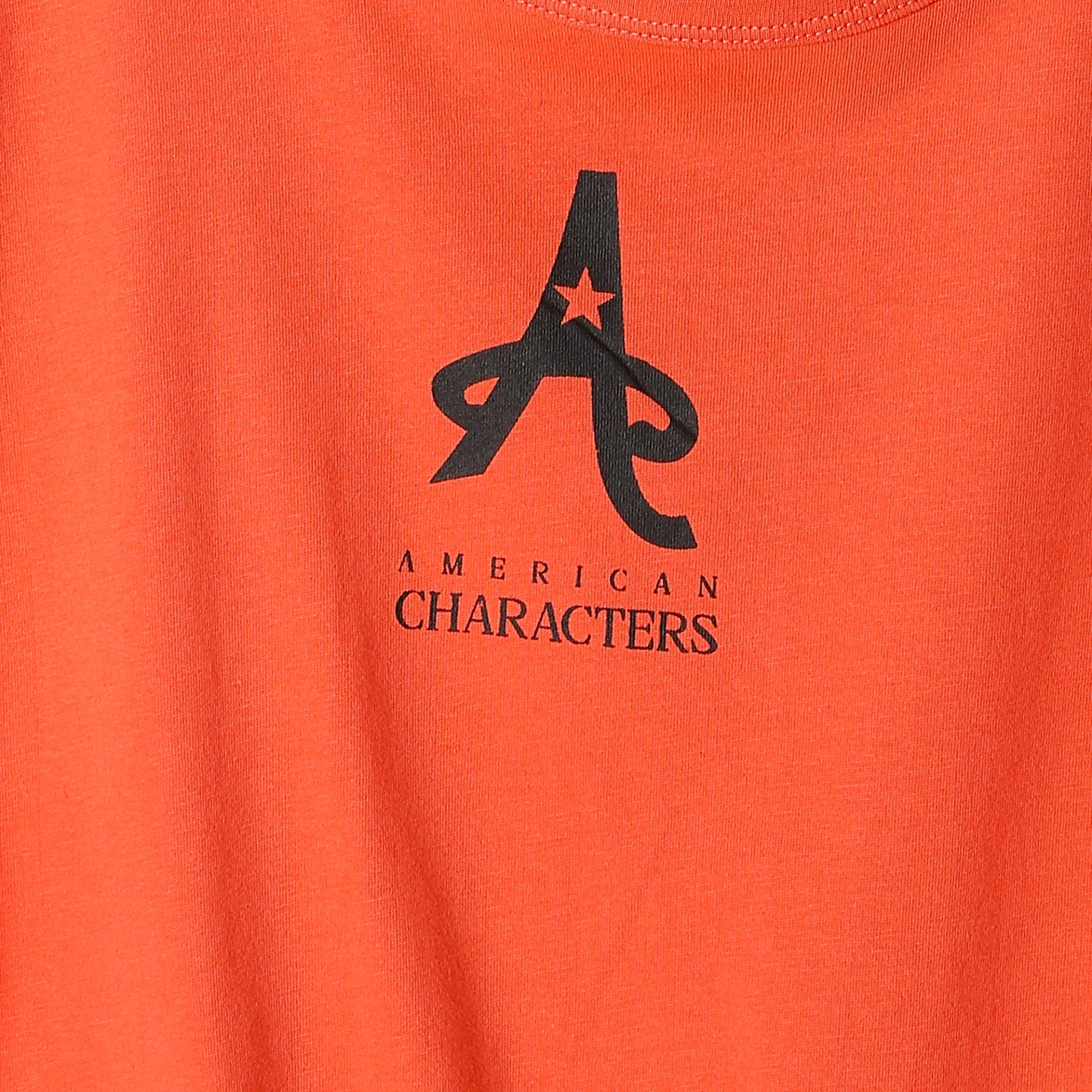 American Characters Women Crop Top